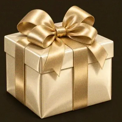 Ribboned gift box — Bsb007