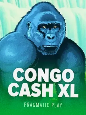Congo Cash XL at Bsb007